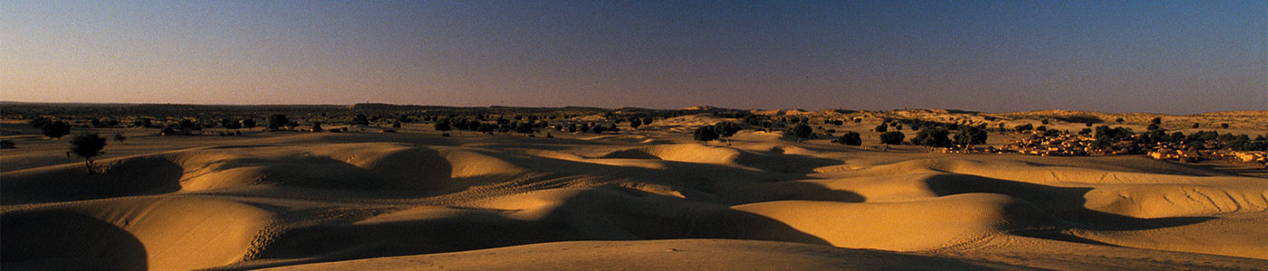 황사사막화방지연구사업